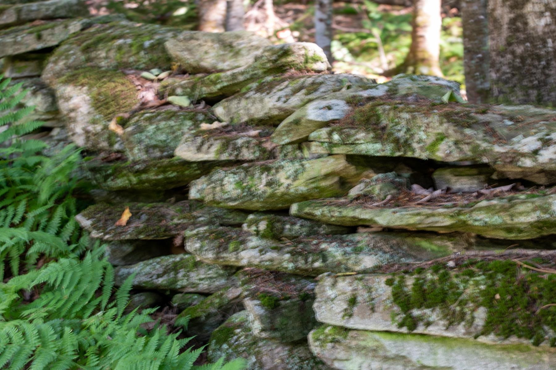 102 Roberts Road Londonderry, VT 05148 - Photo 5 of 20