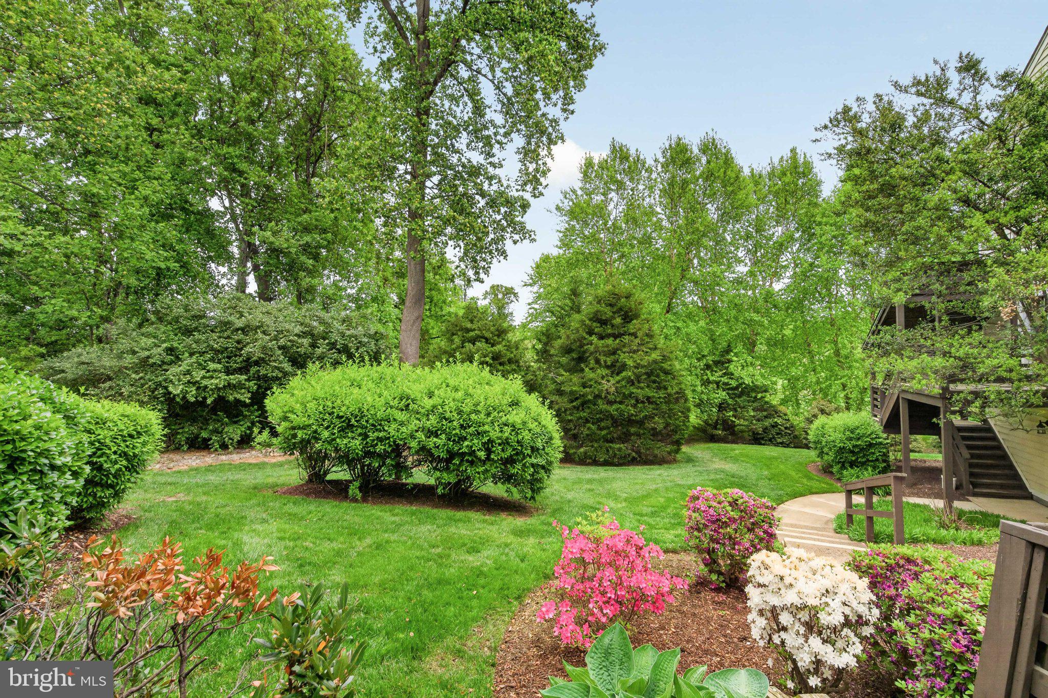 10146 Oakton Terrace Road, Unit 10146 Oakton, VA 22124 - Photo 3 of 25 Lush garden oasis with vibrant blooms.