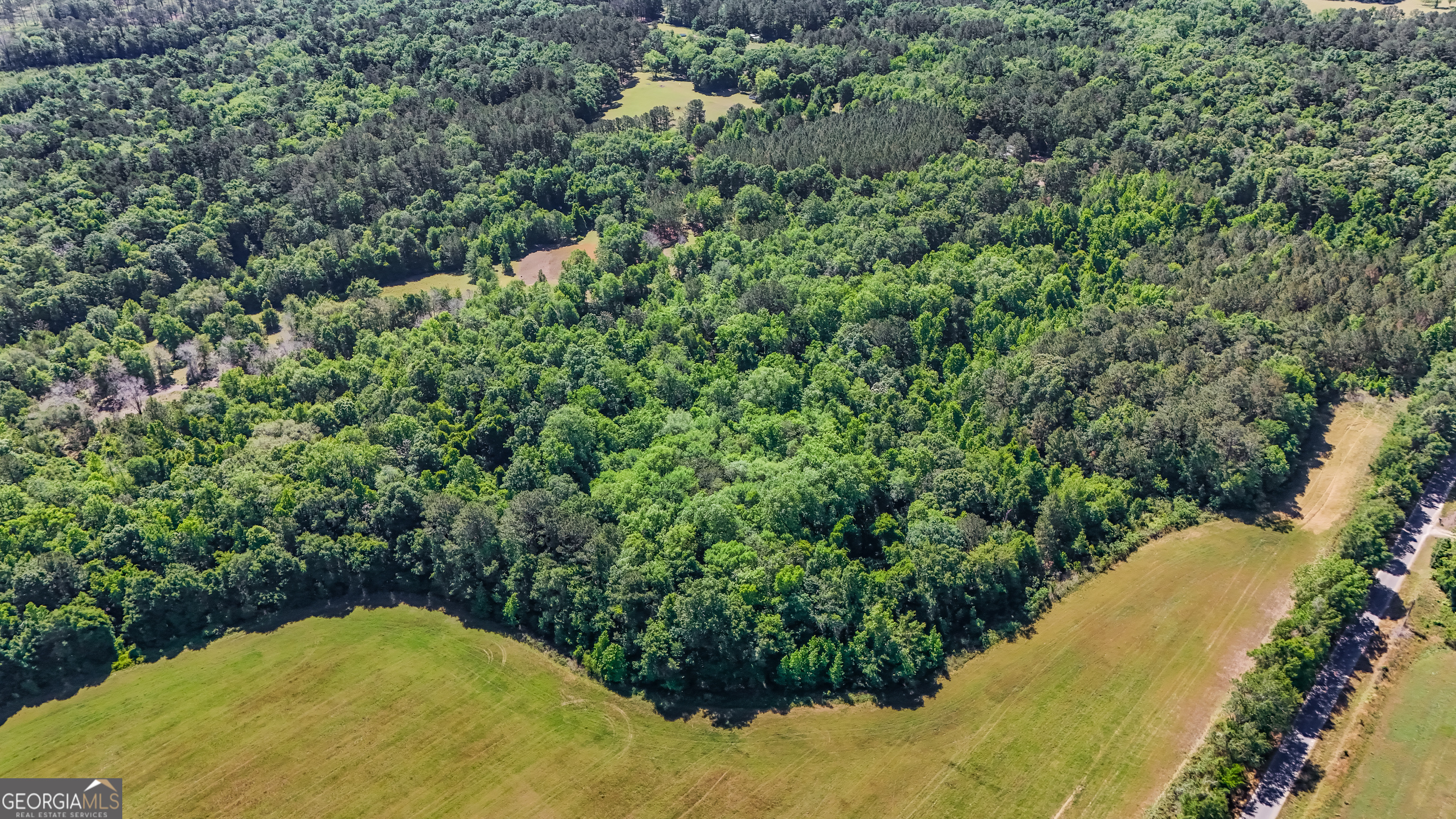 0 Darsey Road Cairo, GA 39828 - Photo 5 of 16 an aerial view of a residential houses with yard and swimming pool
