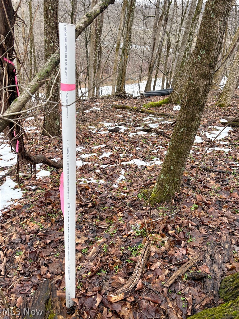 0 Tract 4 Twp Road Woodsfield, OH 43793 - Photo 25 of 34