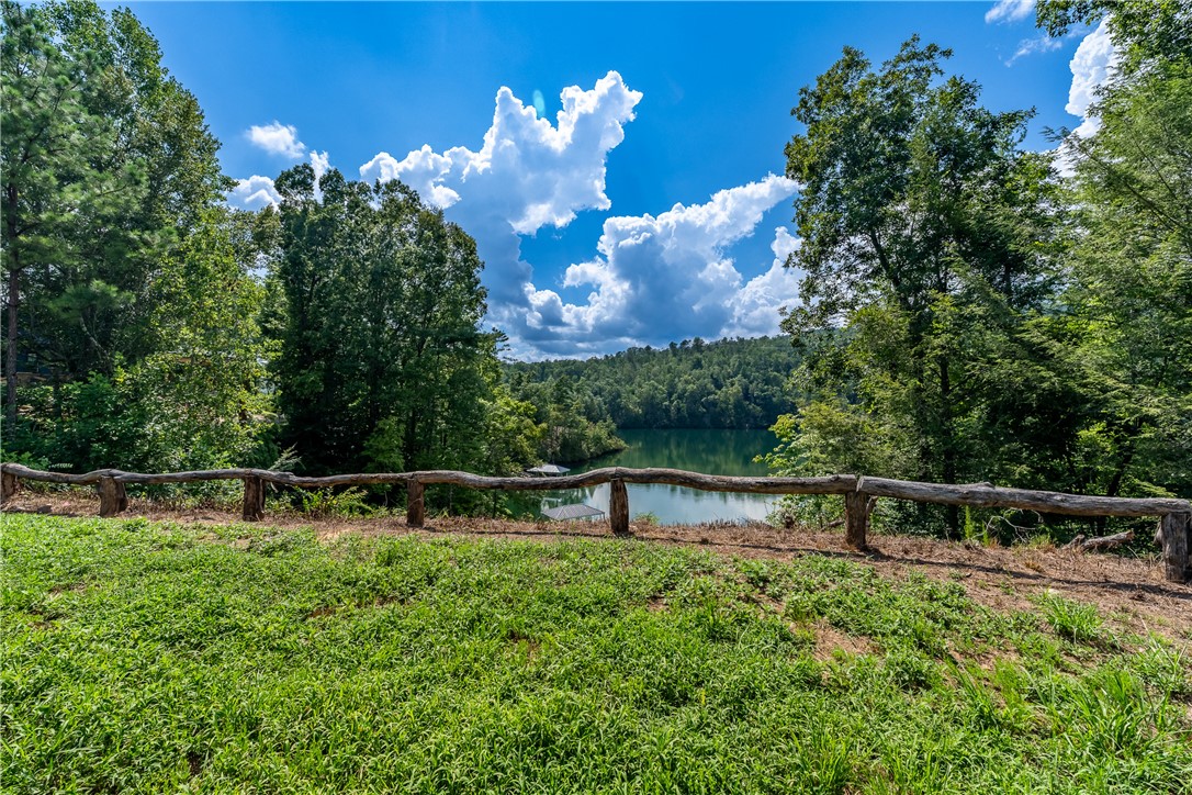 431 Horse Pasture Road Sunset, SC 29685 - Photo 4 of 19