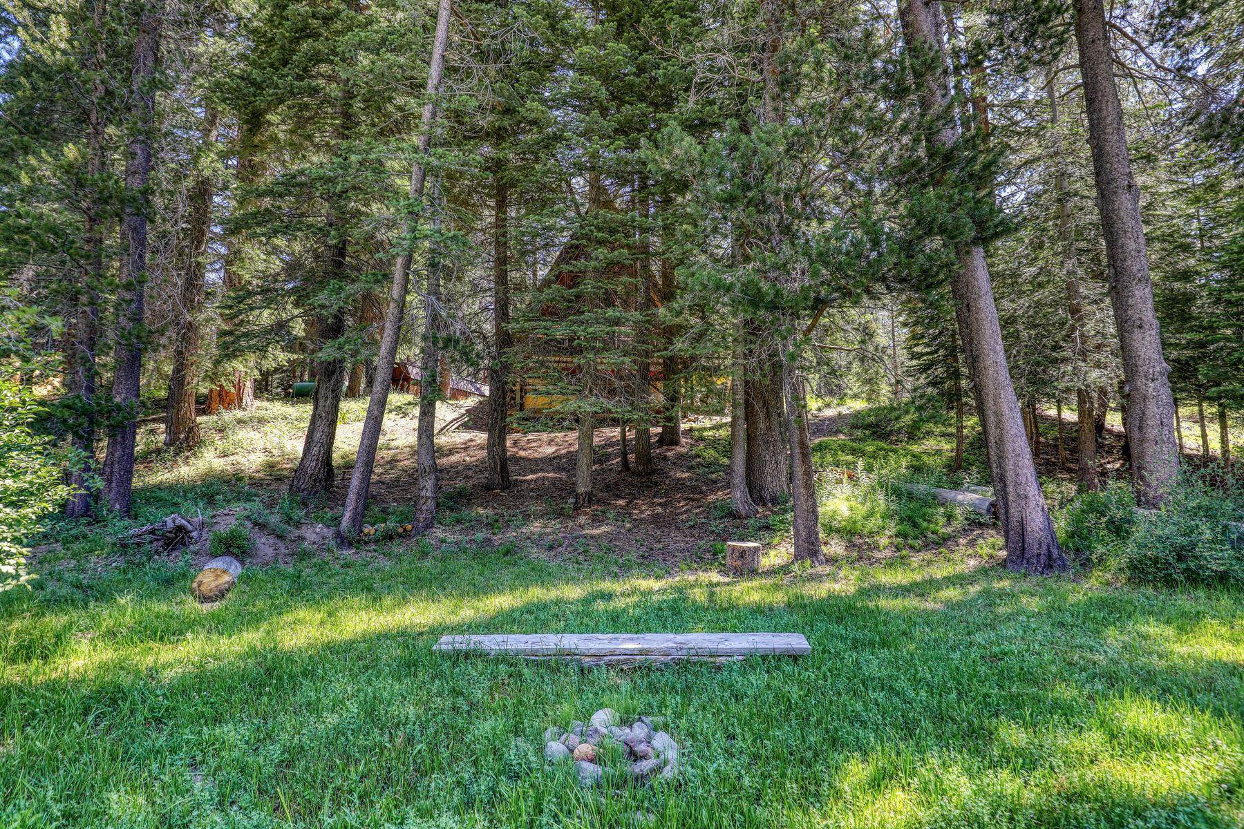 6650 River Road Truckee, CA 96161 - Photo 19 of 21 Gallery Image 19