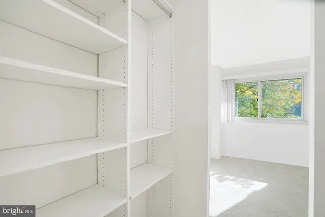 a view of an empty walk in closet
