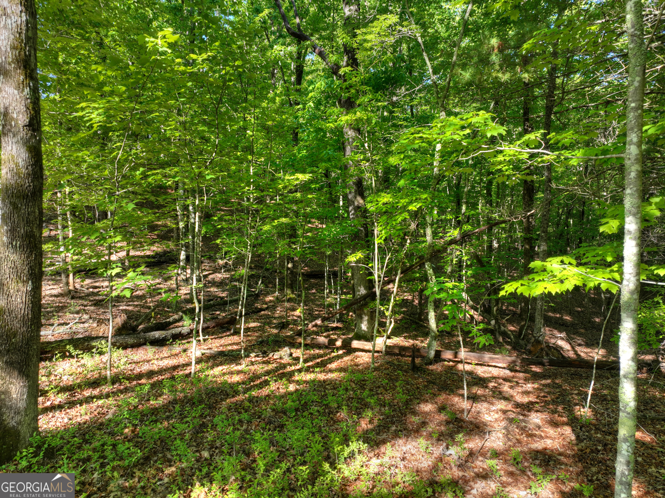 Lot 41 Ridge Drive Morganton, GA 30560 - Photo 11 of 34