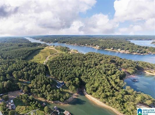 Lot A Camp Jimmy Goodwin Road Jasper, AL 35503 - Photo 11 of 13 Gallery Image 11