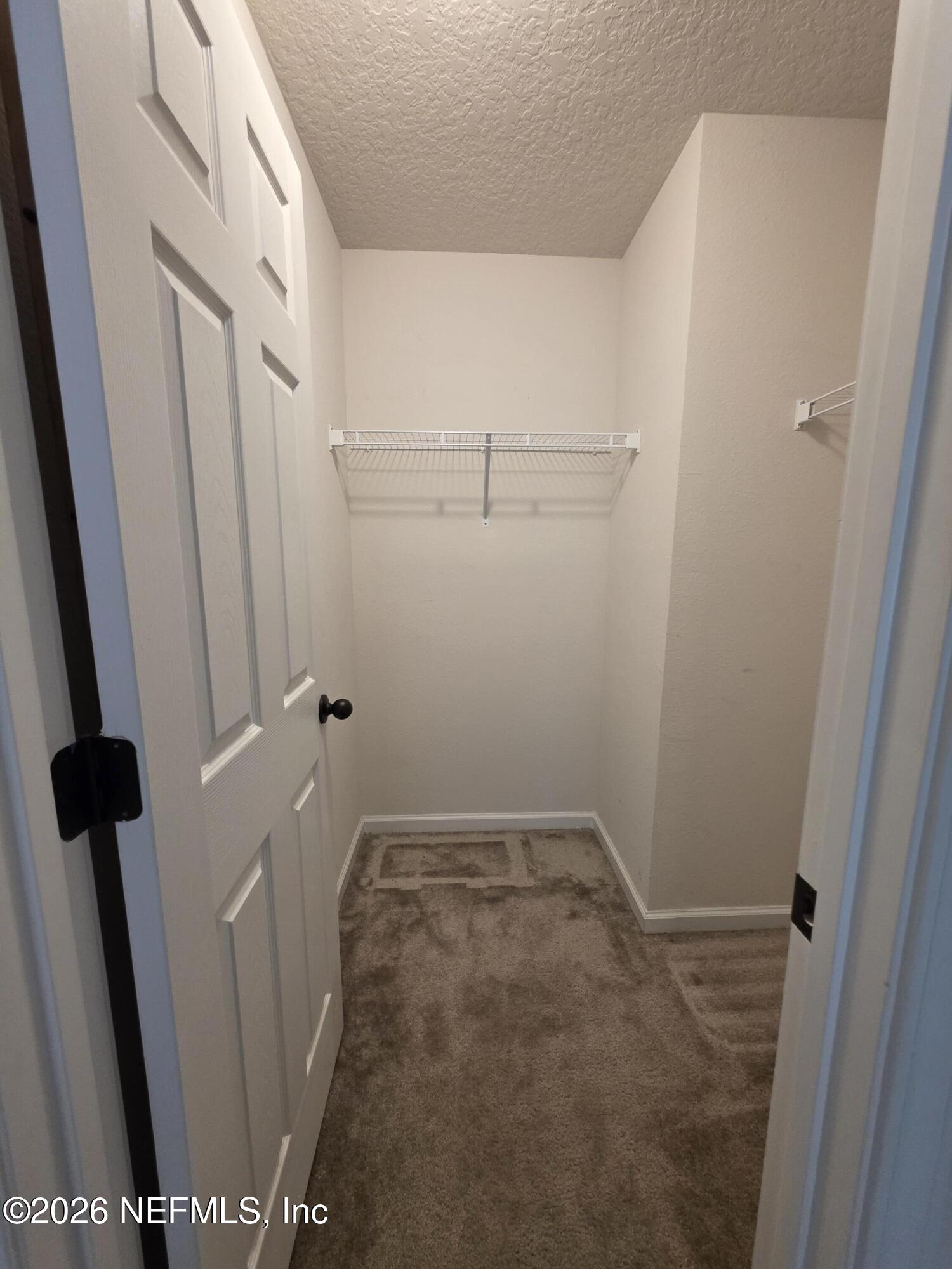 4537 Pine Ridge Parkway Middleburg, FL 32068 - Photo 11 of 30 Walk in closet