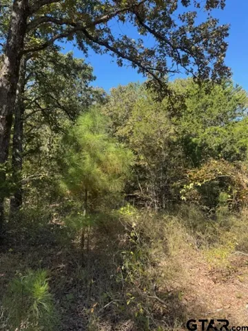 $512,000 | 0 Cr 1514 Van Tx 75790, Grand Saline, TX 75140