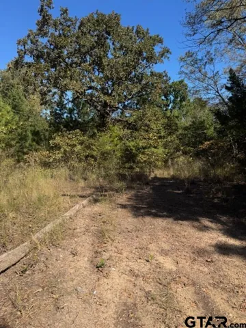 $512,000 | 0 Cr 1514 Van Tx 75790, Grand Saline, TX 75140