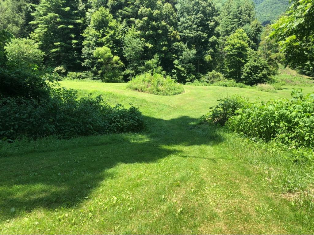 0 Edwards Branch Road Erwin, TN 37650 - Photo 3 of 5 Photo 3