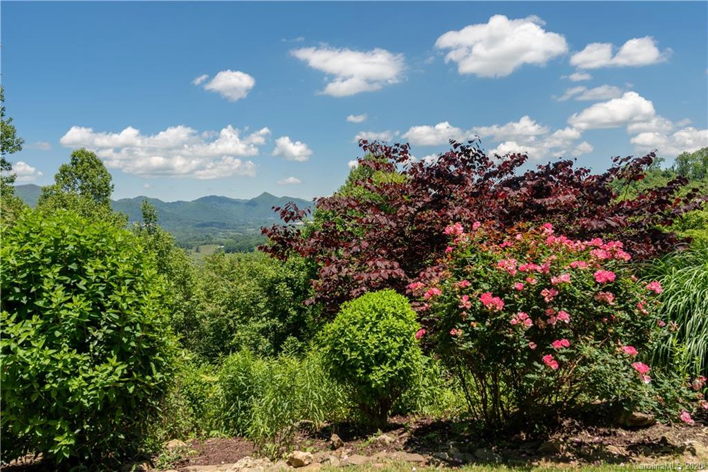 211 Lagrange Road, Unit TRACK 2 Waynesville, NC 28786 - Photo 43 of 48 a view of a bunch of flowers