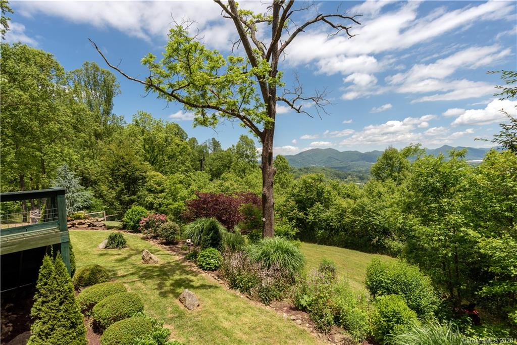 211 Lagrange Road, Unit TRACK 2 Waynesville, NC 28786 - Photo 7 of 48 a view of a yard with plants