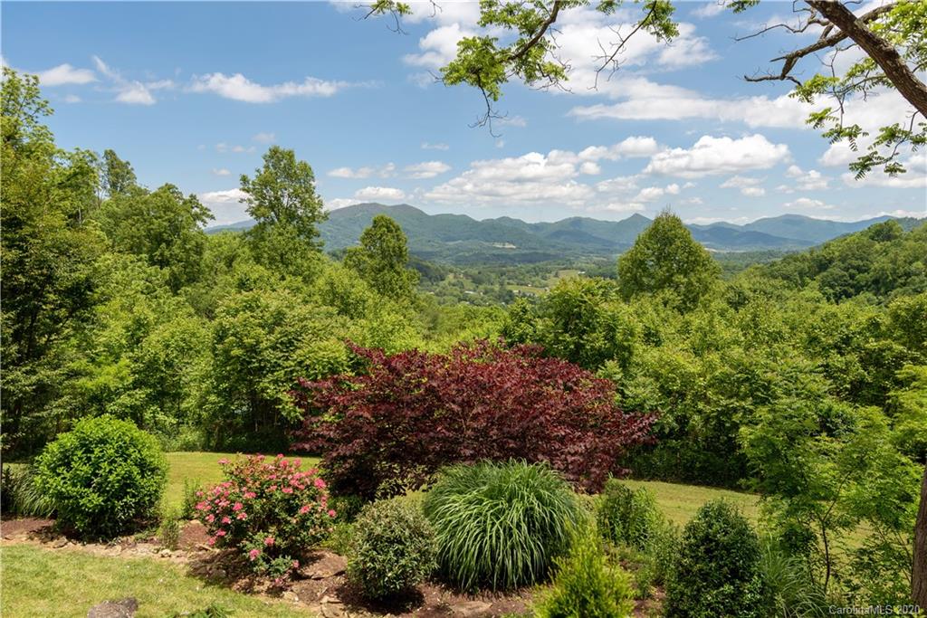 211 Lagrange Road, Unit TRACK 2 Waynesville, NC 28786 - Photo 8 of 48 a view of a garden with plants and large trees