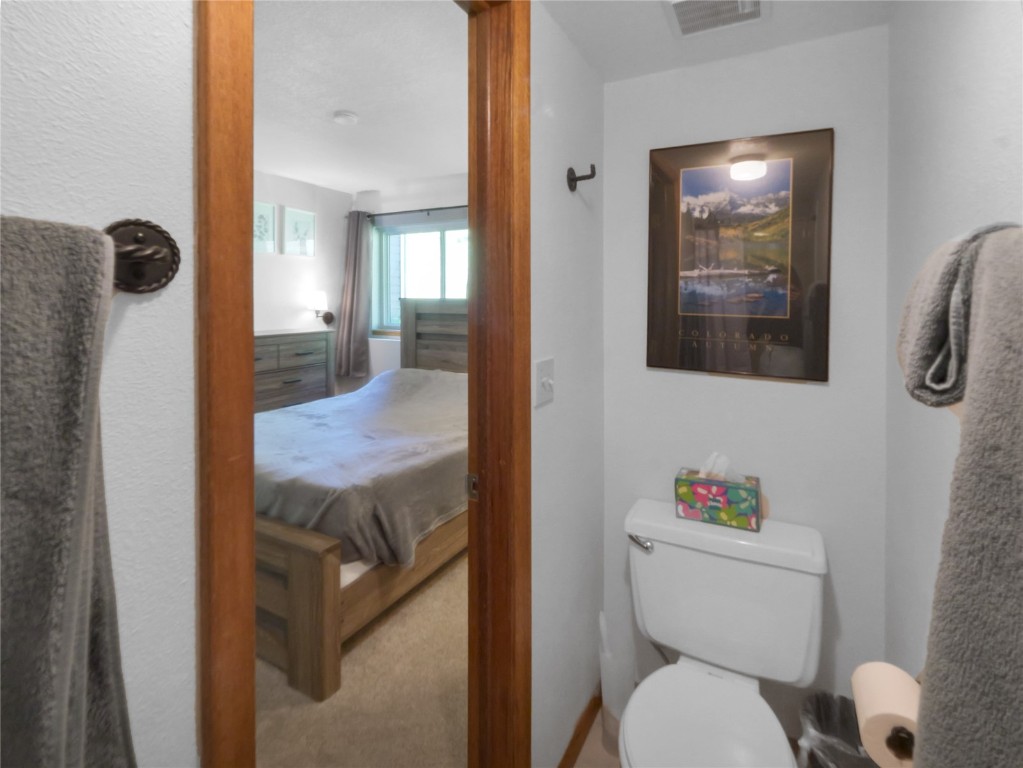 9876 Ryan Gulch Road, Unit 106 Silverthorne, CO 80498 - Photo 14 of 27 a en suite bathroom with a toilet