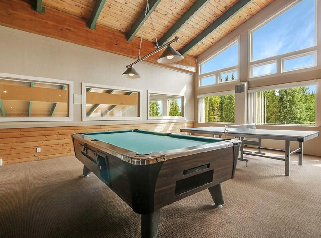 9876 Ryan Gulch Road, Unit 106 Silverthorne, CO 80498 - Photo 24 of 27 a living room with a table chairs and a large window