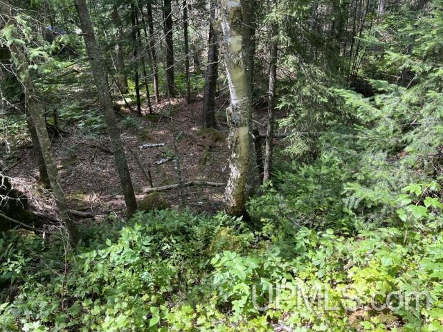 20-acres Willow Creek Road Negaunee, MI 49866 - Photo 6 of 17