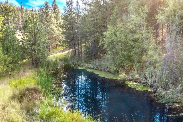 $1,000,000 | 15717 East Cooper Road, Mead, WA 99021