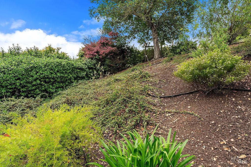 6252 Meadowstone Drive Santa Rosa, CA 95409 - Photo 7 of 33 a view of a yard with plants and a trees