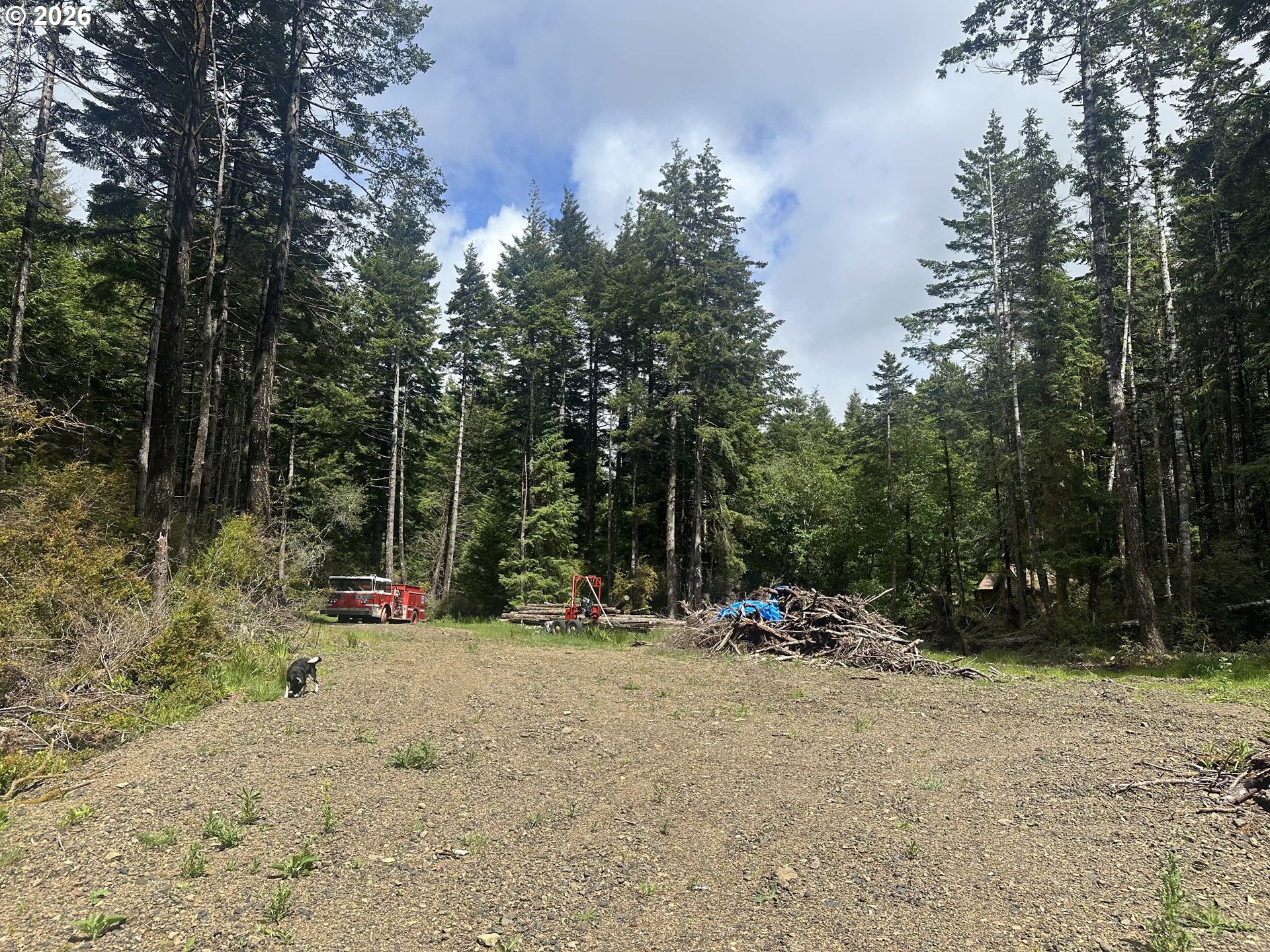 Cedar Hollow Road Port Orford, OR 97465 - Photo 2 of 6