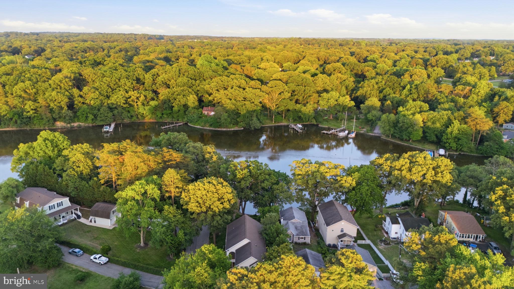 1219 Meadow View Road Pasadena, MD 21122 - Photo 66 of 70 Serene riverside homes amidst lush greenery.