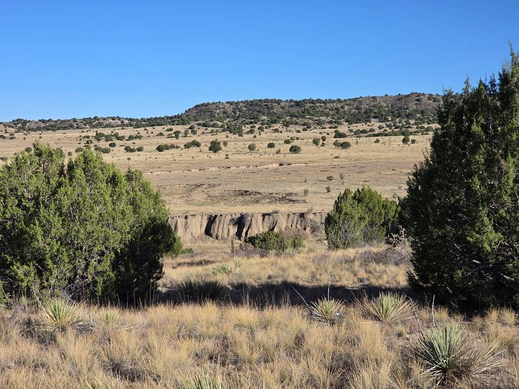 Tbd Lot 14 Tbd Road Pueblo, CO 81005 - Photo 6 of 12
