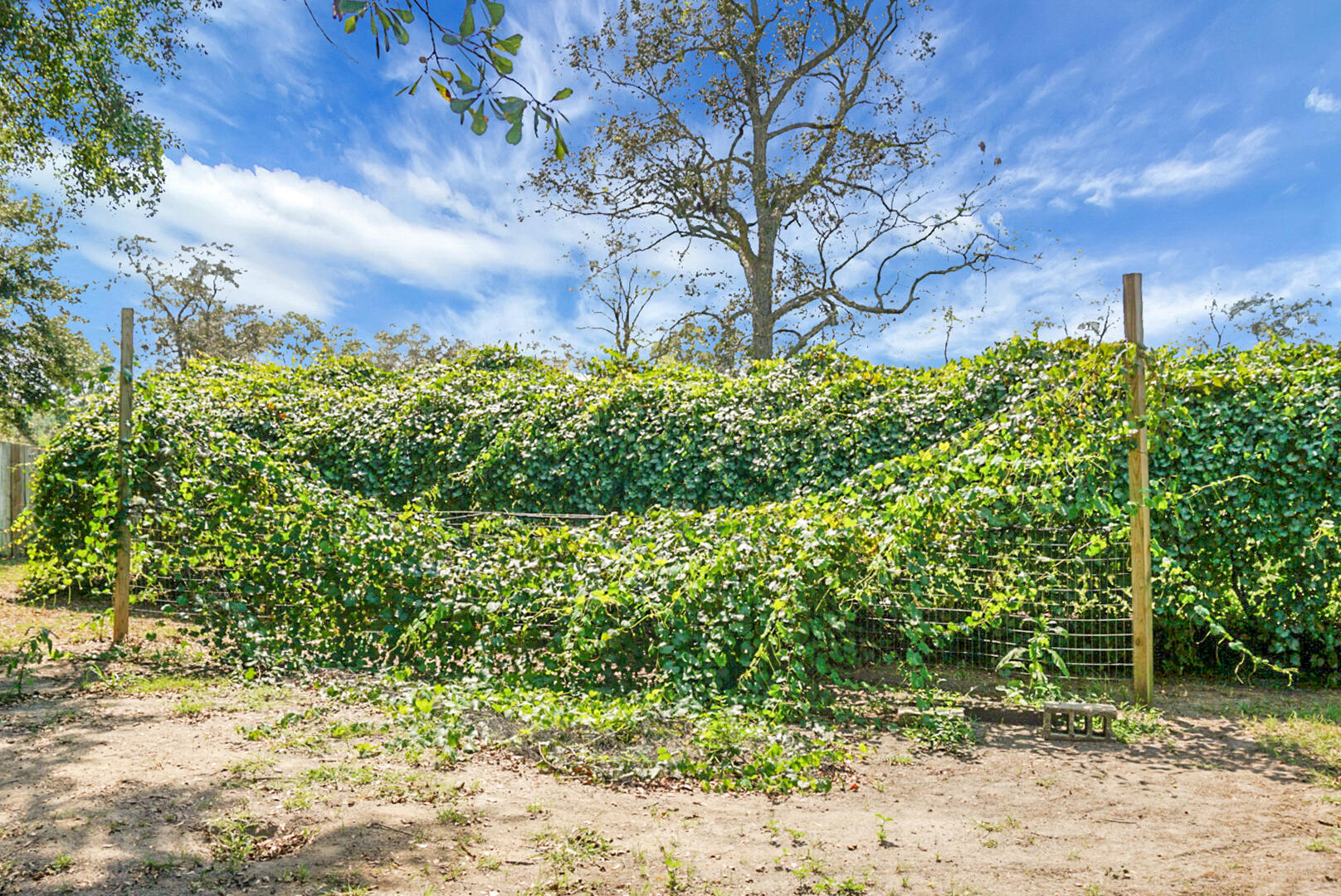 1758 Mendel Rivers Road St. Stephen, SC 29479 - Photo 38 of 43 DSC05298