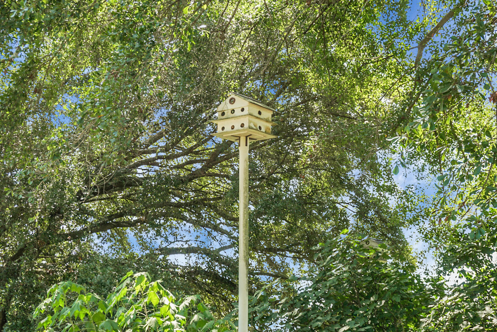 1758 Mendel Rivers Road St. Stephen, SC 29479 - Photo 41 of 43 DSC05325