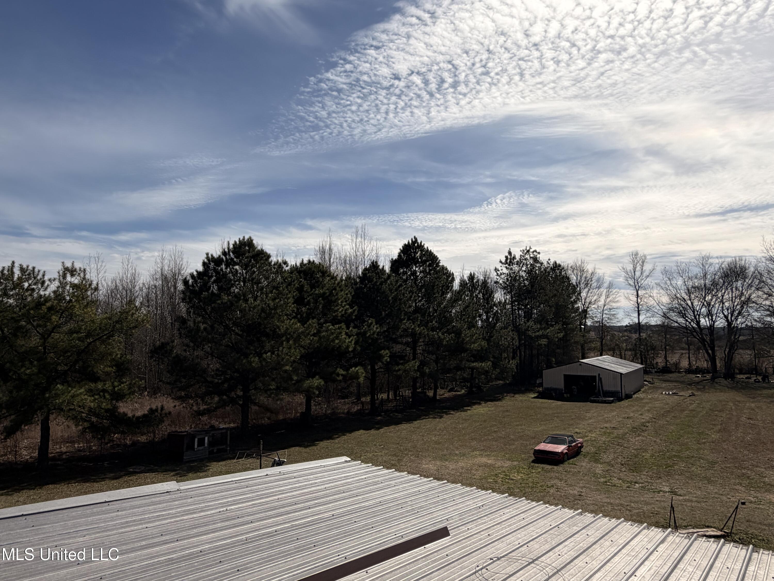 243 Sauls Road Jayess, MS 39641 - Photo 22 of 24 IMG_5669