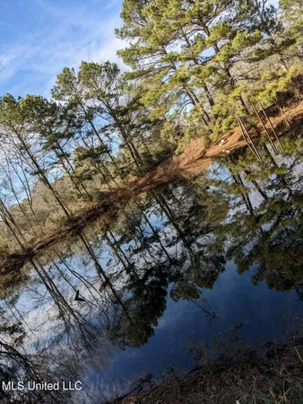 $269,500 | 243 Sauls Road, Jayess, MS 39641