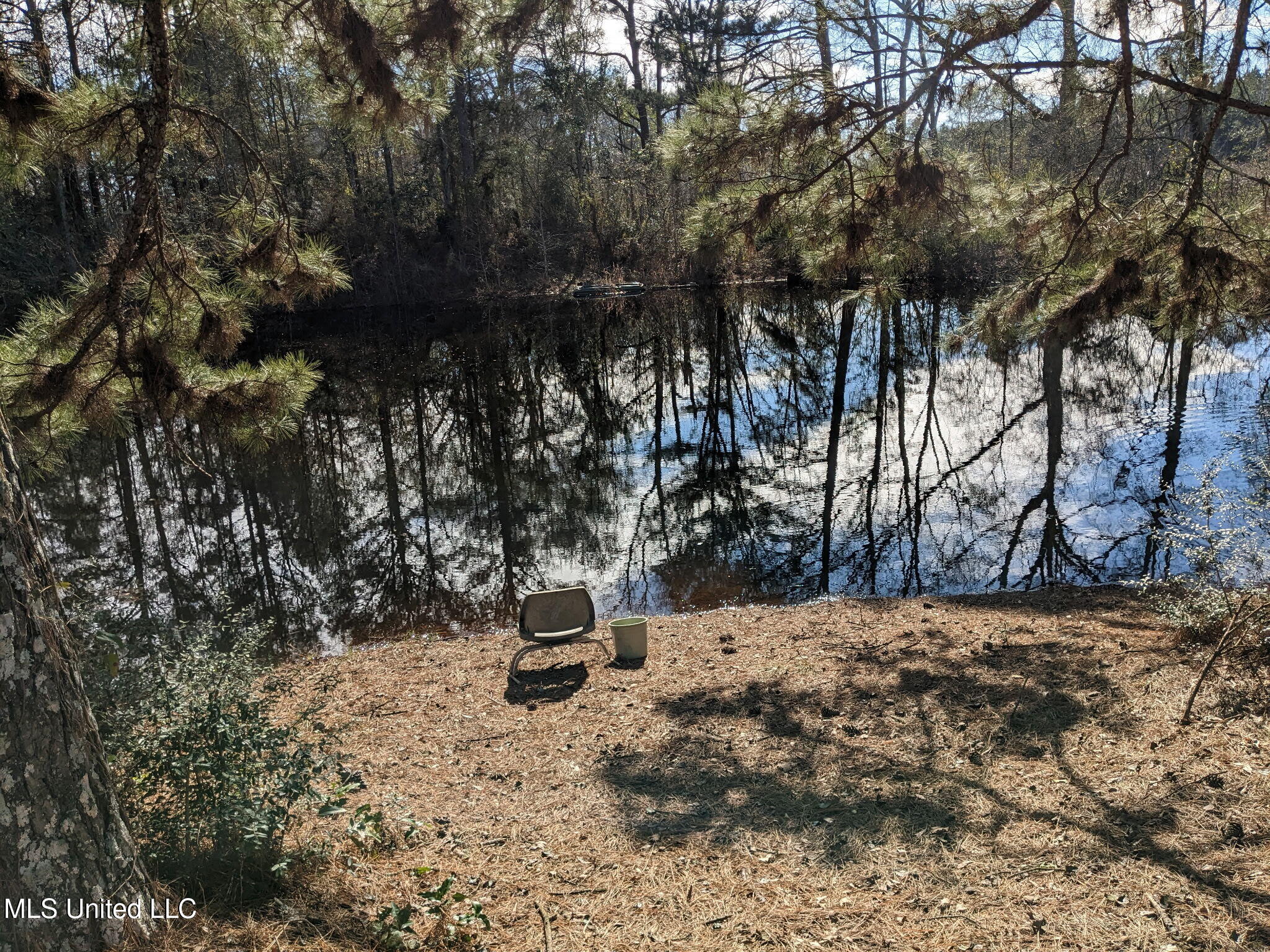 243 Sauls Road Jayess, MS 39641 - Photo 24 of 24 7907696777405237577