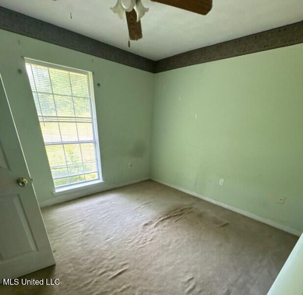 5 Union Church Road Tylertown, MS 39667 - Photo 16 of 20 Picture83