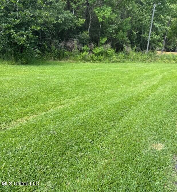 5 Union Church Road Tylertown, MS 39667 - Photo 20 of 20 Picture91