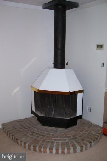 Interior (Wood Burning Fireplace in Living Room)