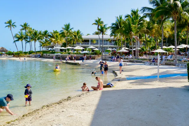 a view of a backyard with palm tree