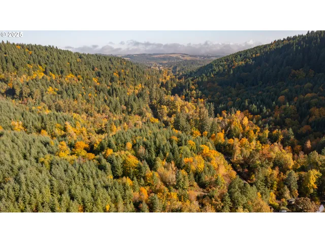 a black and white photo of a green field