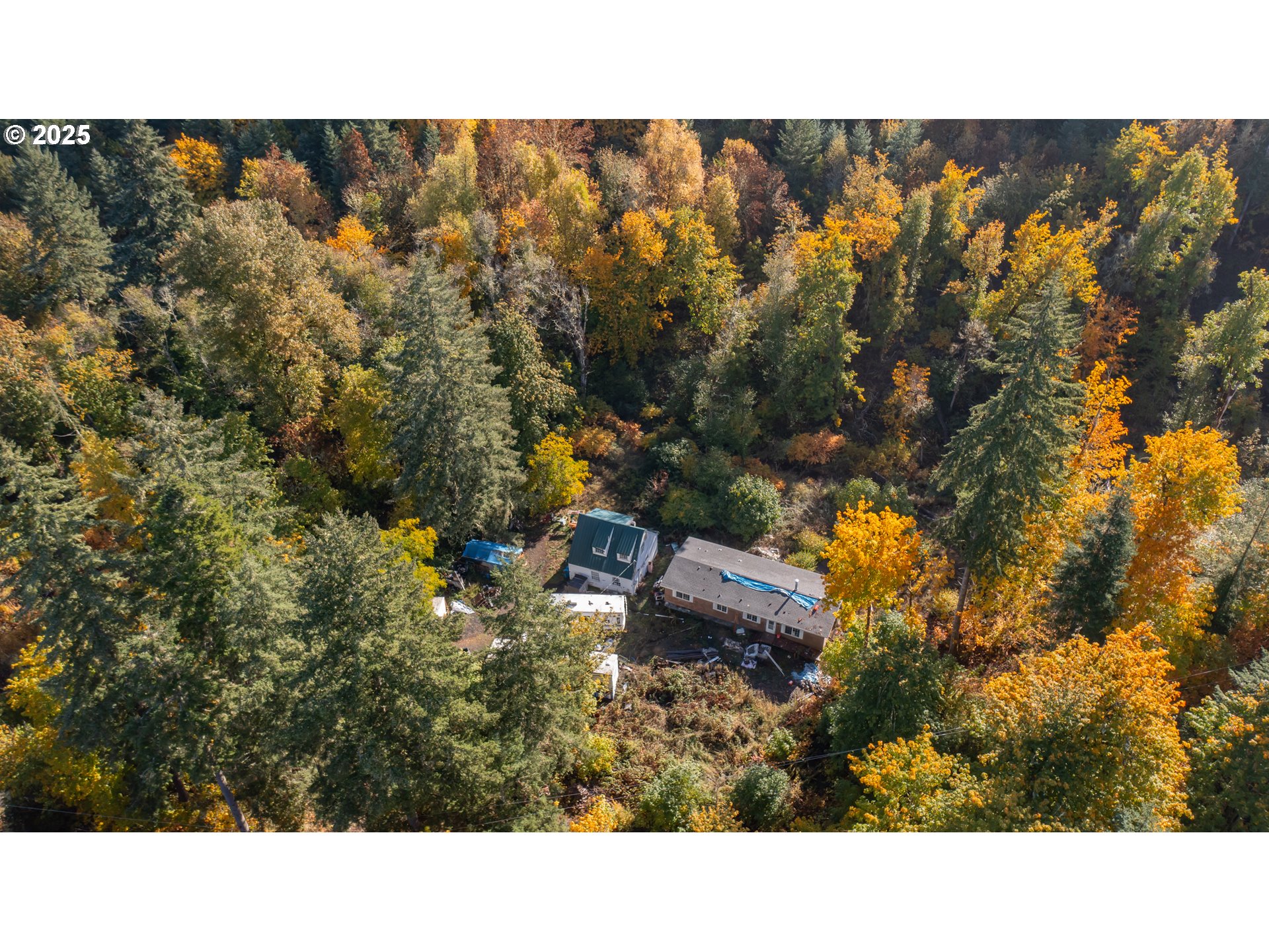 17925 Brown Road Dallas, OR 97338 - Photo 11 of 18 a open area with trees in the background