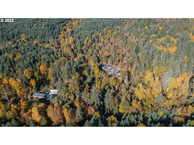 a black and white photo of a house