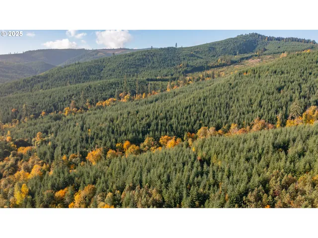 a open area with mountains in the background