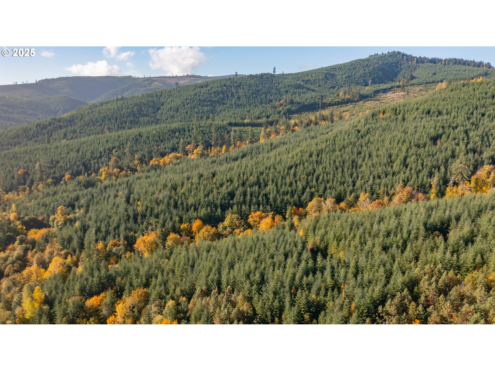 17925 Brown Road Dallas, OR 97338 - Photo 13 of 18 a open area with mountains in the background