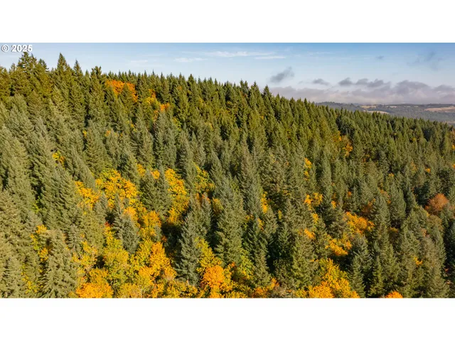 a open area with a yard