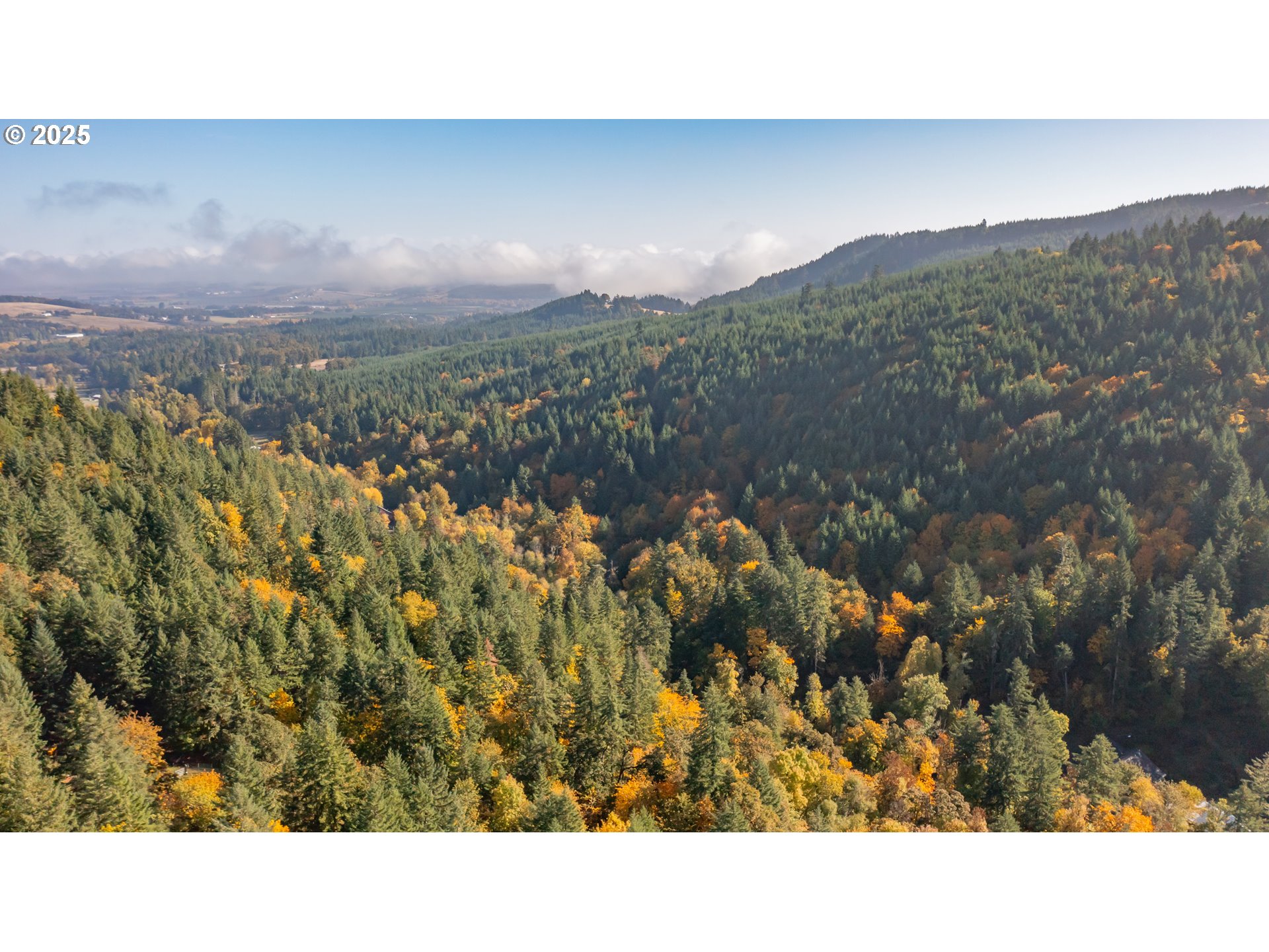17925 Brown Road Dallas, OR 97338 - Photo 15 of 18 a view of a city