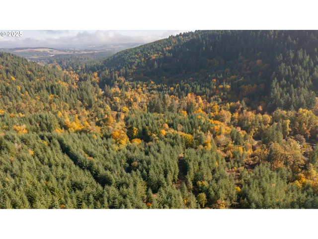 a black and white photo of a house