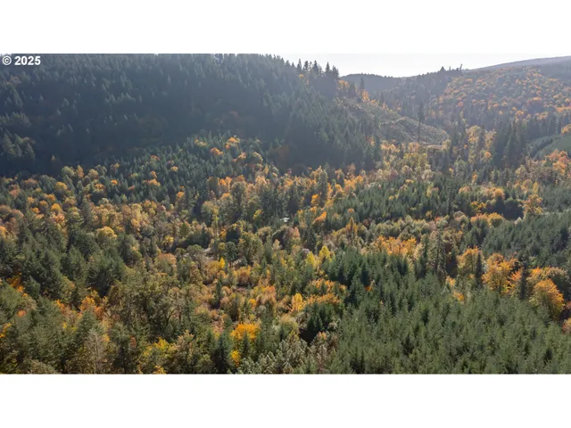 $699,000 | 17925 Brown Road, Dallas, OR 97338