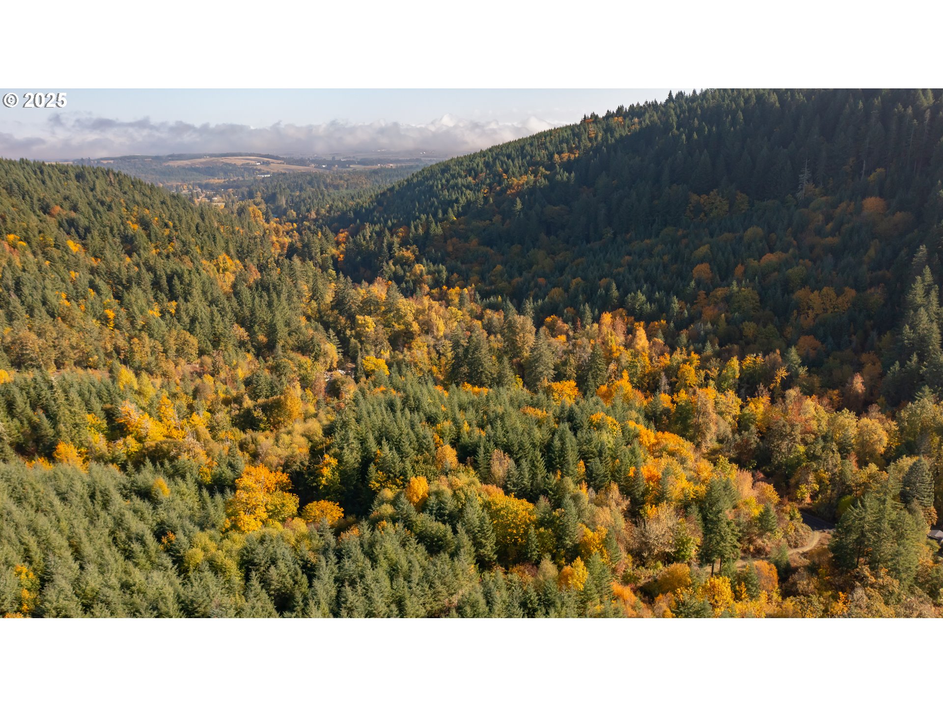 17925 Brown Road Dallas, OR 97338 - Photo 2 of 18 a black and white photo of a city