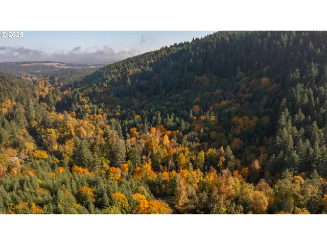 a black and white photo of a house