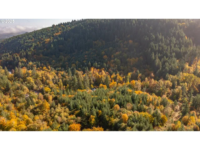 a black and white photo of a house