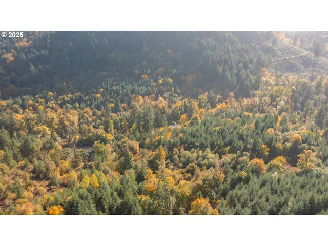 a black and white photo of a house