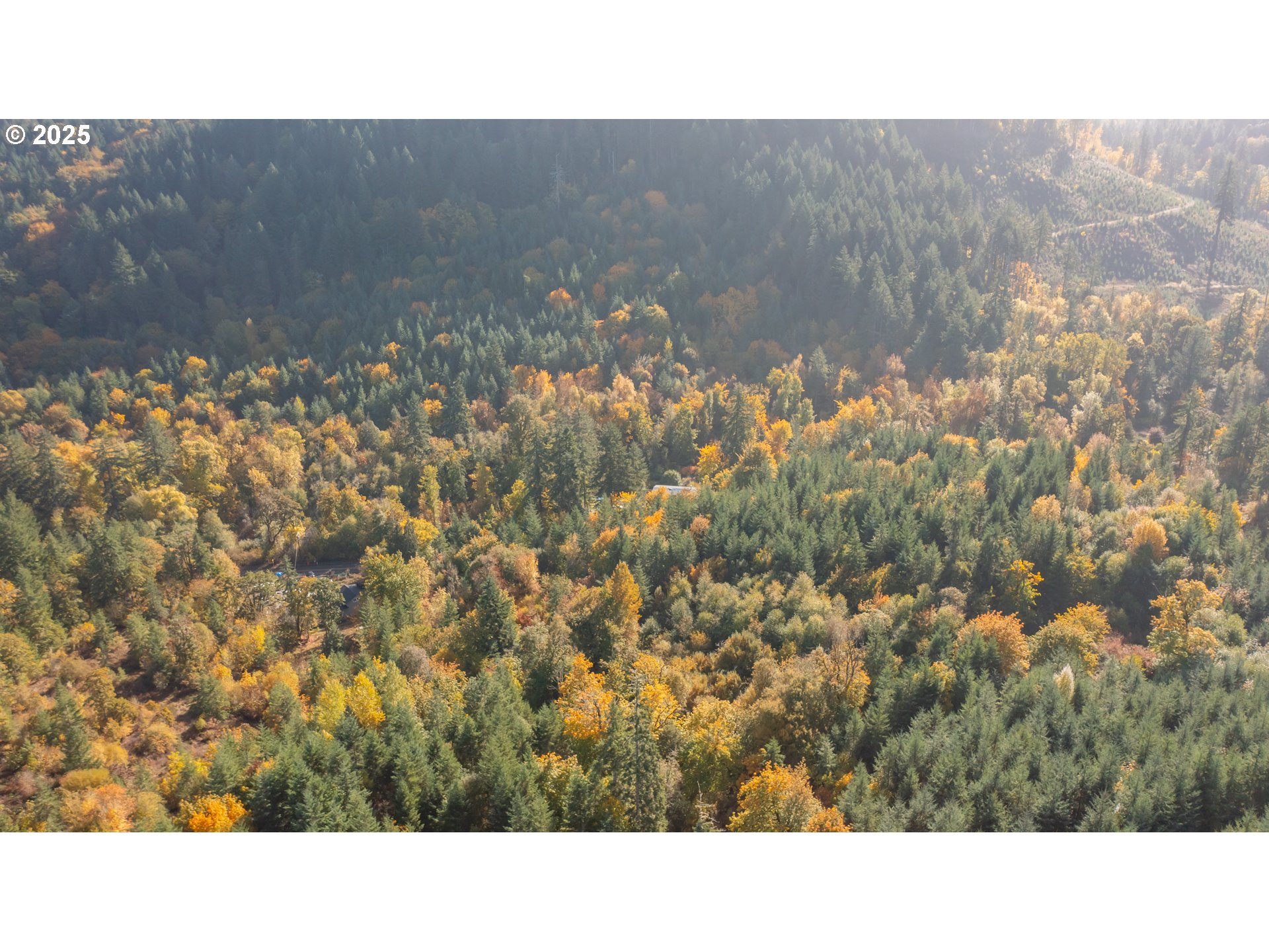 17925 Brown Road Dallas, OR 97338 - Photo 6 of 18 a black and white photo of a house