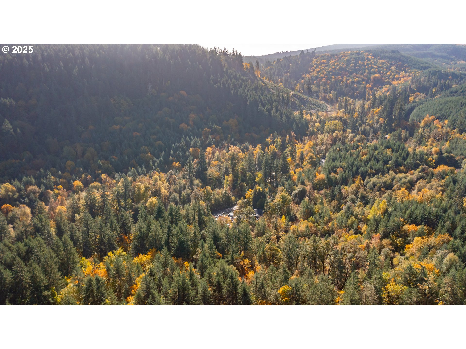 17925 Brown Road Dallas, OR 97338 - Photo 7 of 18 a black and white photo of a house