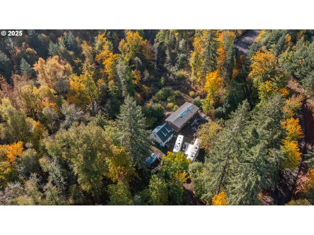 a open area with trees