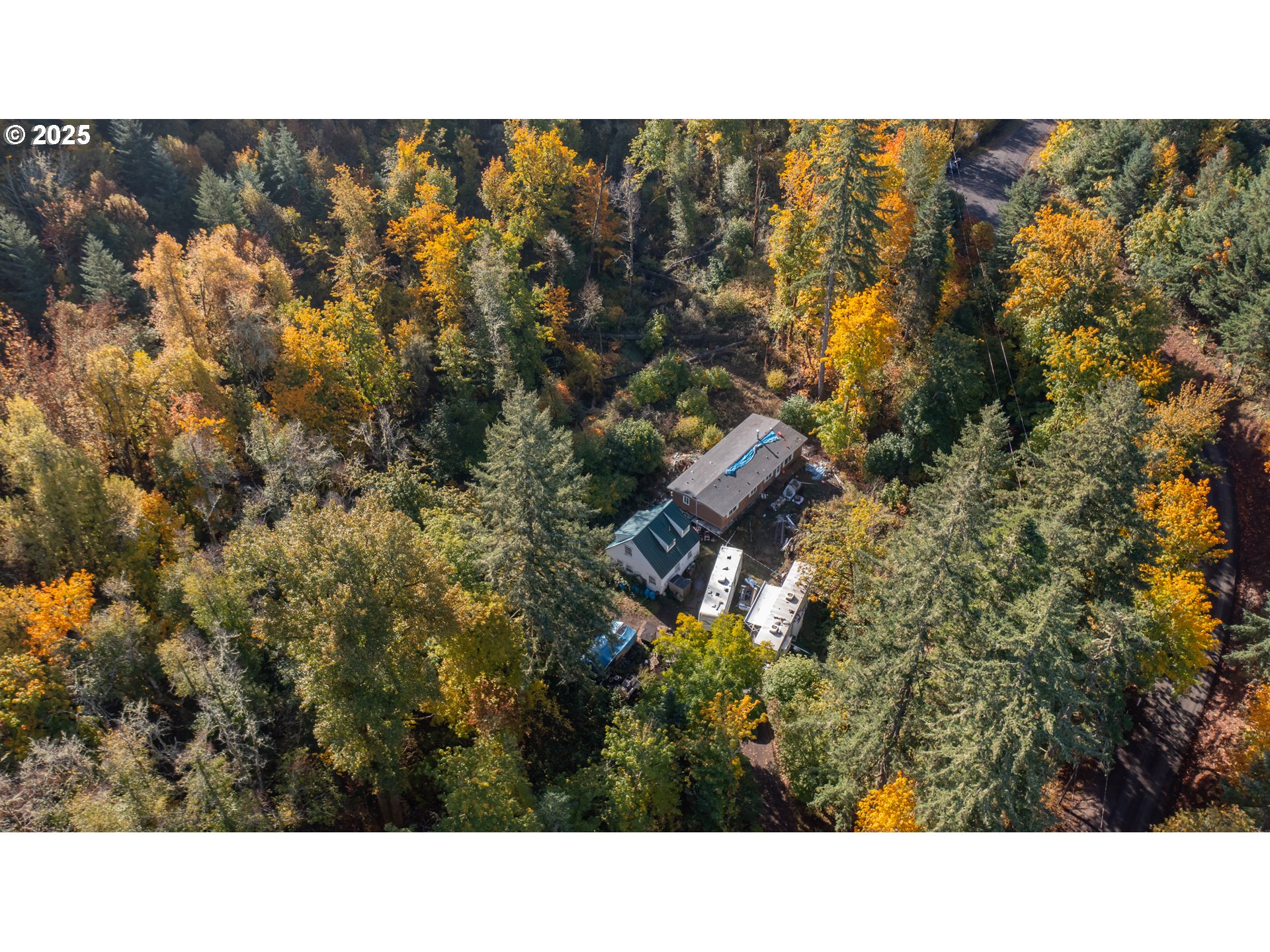 17925 Brown Road Dallas, OR 97338 - Photo 10 of 18 a open area with trees